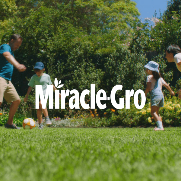 Miracle Grow