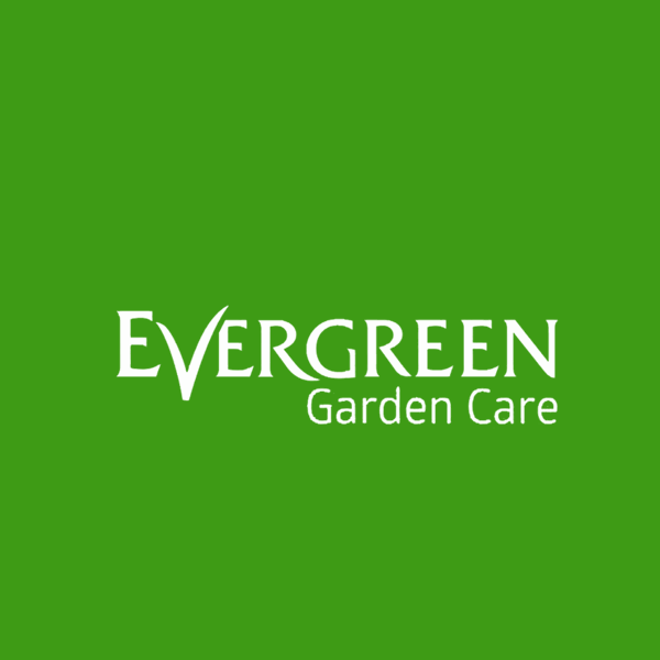 Client Evergreen