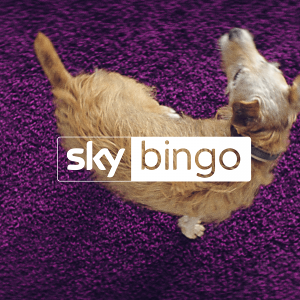 Sky Bingo